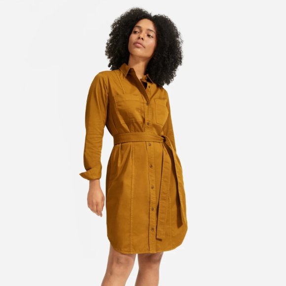 Everlane Modern Utility Shirtdress Nwt 